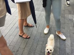 -1点点(银座和谐广场店)