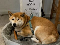 -三目仓咖啡(贤南路店)