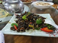 山吭螺-桃姐农庄老字号(从化温泉店)