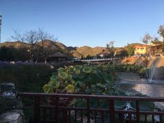 -静之湖湖畔餐厅