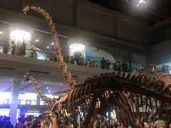 -自贡恐龙博物馆