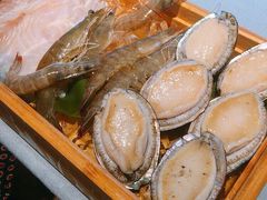 -诺莱仕游艇会