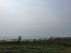 -洪湖湿地生态园