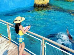 -秦皇岛乐岛海洋王国