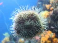 -鹿儿岛水族馆