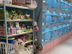 -FAELING PETS美天灵宠物(合生汇店)