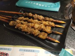 大漠红柳枝烤肉-羊肉街口老银川滩羊涮肉馆