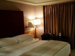 -新加坡文华东方酒店