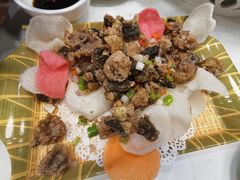 -丁老爷子苏香圆