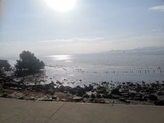 -深圳湾公园(南山区)