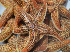 -富港会·海鲜酒楼(墟沟店)