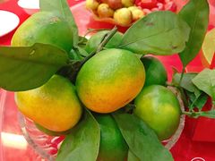 -围龙屋客家食府(福田店)