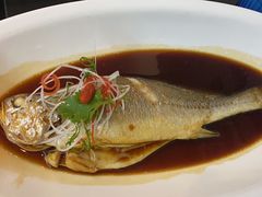 -稻早料理美术馆(城阳店)