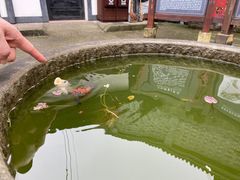 -燊海井