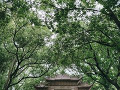 -灵岩山风景区