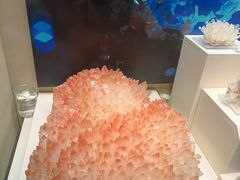 -天津自然博物馆