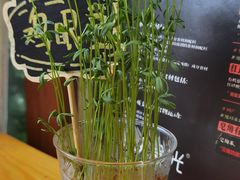 -饵块食光·云南有机手作饵块