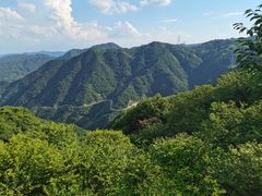 -四明山国家森林公园