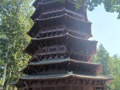 -北京世界公园