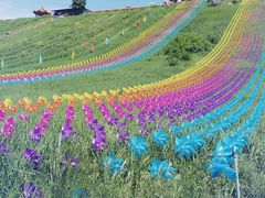 -南戴河国际娱乐中心