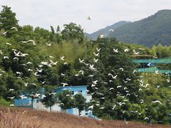 -瓷天下海丝谷