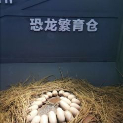 -恐龙探索乐园(磁器口店)