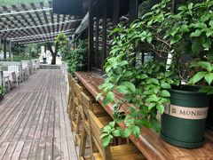 景观位-Local泰莲庭(虹鳟鱼店)