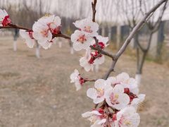 -太阳宫公园