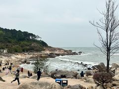 -广东惠东海龟国家级自然保护区