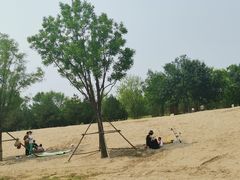 -东郊湿地公园