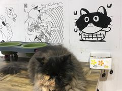 景观位-小时光咖啡馆(开森度假森林店)