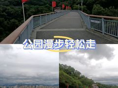 -金鸡山公园