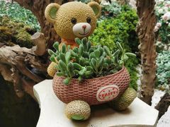 -花之城