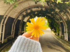 -紫颐香薰山谷景区