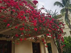 -三亚亚龙湾天域度假酒店