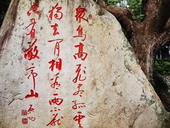 -敬亭山风景名胜区