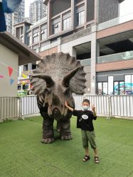 -恐龙探索乐园(磁器口店)