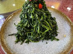 清香枸杞苗-国强手抓(北京西路店)