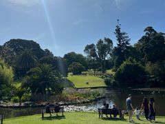 -墨尔本皇家植物园