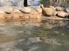 -深业半汤御泉庄温泉