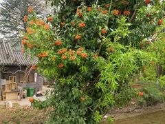 -黑龙潭公园