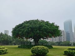-万绿园