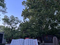 -大槐树寻根祭祖园