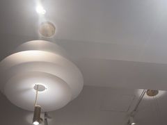 -北京老铺烤鸭(高新店)