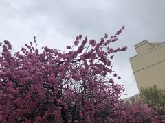 -黑龙江大学