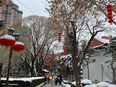 -团结湖公园
