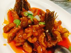 -沪碟·精菜坊(闵行店)