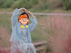 -王借岗森林公园