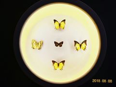 -下渚湖国家湿地公园科普馆