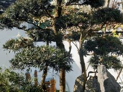 -郭庄景区
